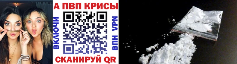 Alfa_PVP СК Калуга