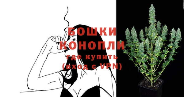 PSILOCYBIN Баксан