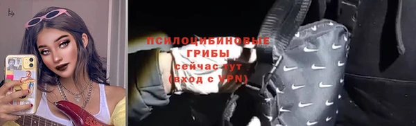 PSILOCYBIN Баксан