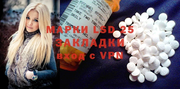 PSILOCYBIN Баксан