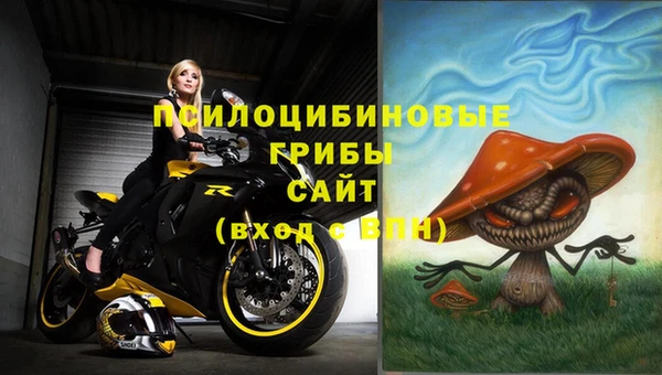 PSILOCYBIN Баксан