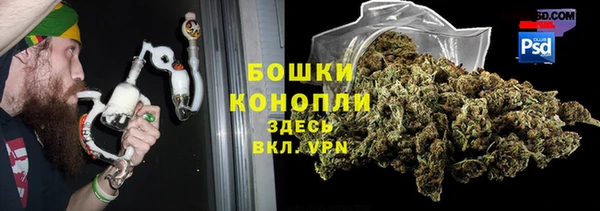 PSILOCYBIN Баксан