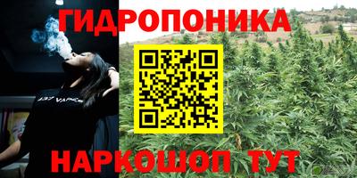 шишки Краснокаменск