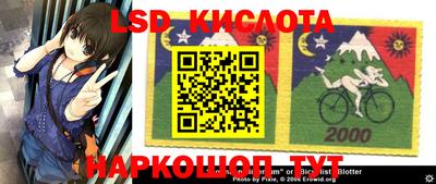 шишки Краснокаменск