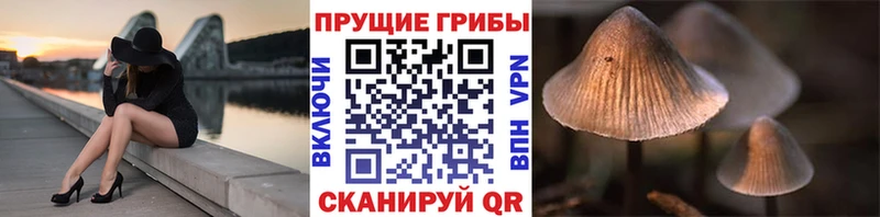 Псилоцибиновые грибы ЛСД  Калуга 
