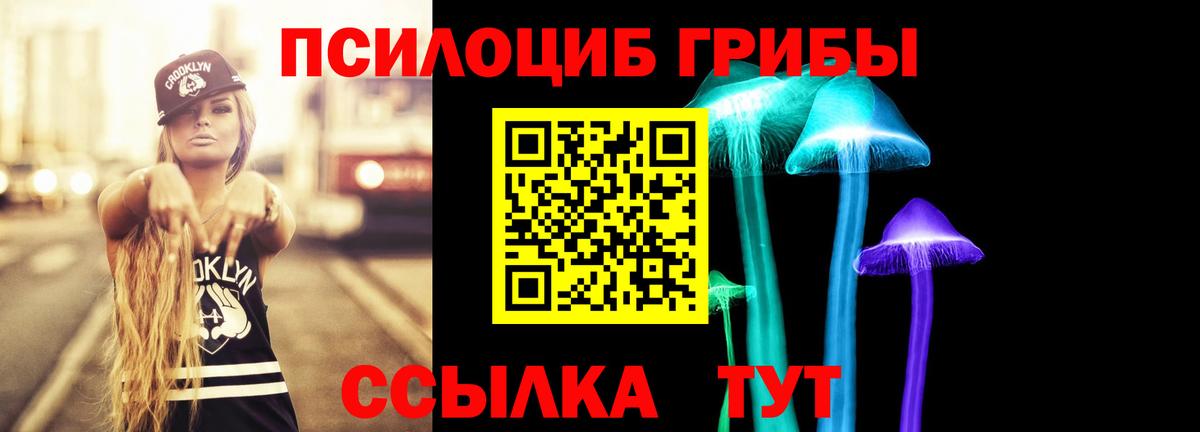 Псилоцибиновые грибы прущие грибы  хочу наркоту  Калуга  Вход с VPN  Галлюциногенные грибы Psilocybine cubensis 